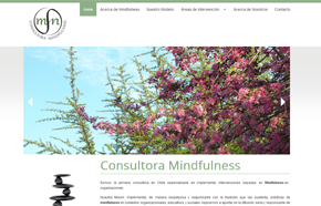 site-consultora-mindfulness